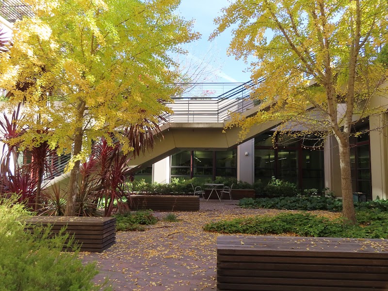 Bioengineering Department – Stanford University photo 4