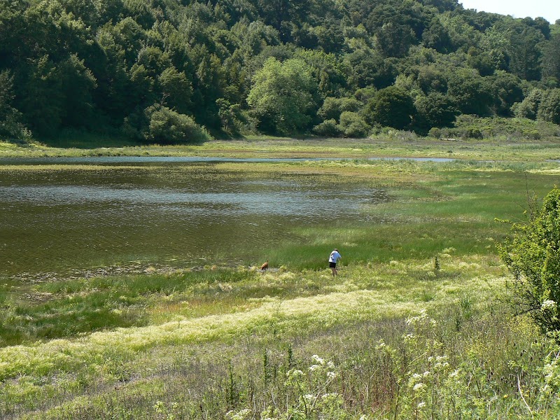 Photo of EBMUD Valle Vista Staging Area