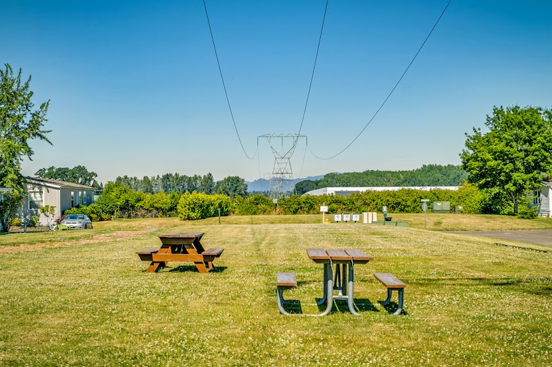 Columbus Greens photo 5