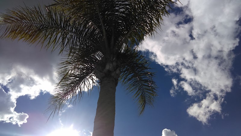 Caribbean Isles Residential Co photo 3