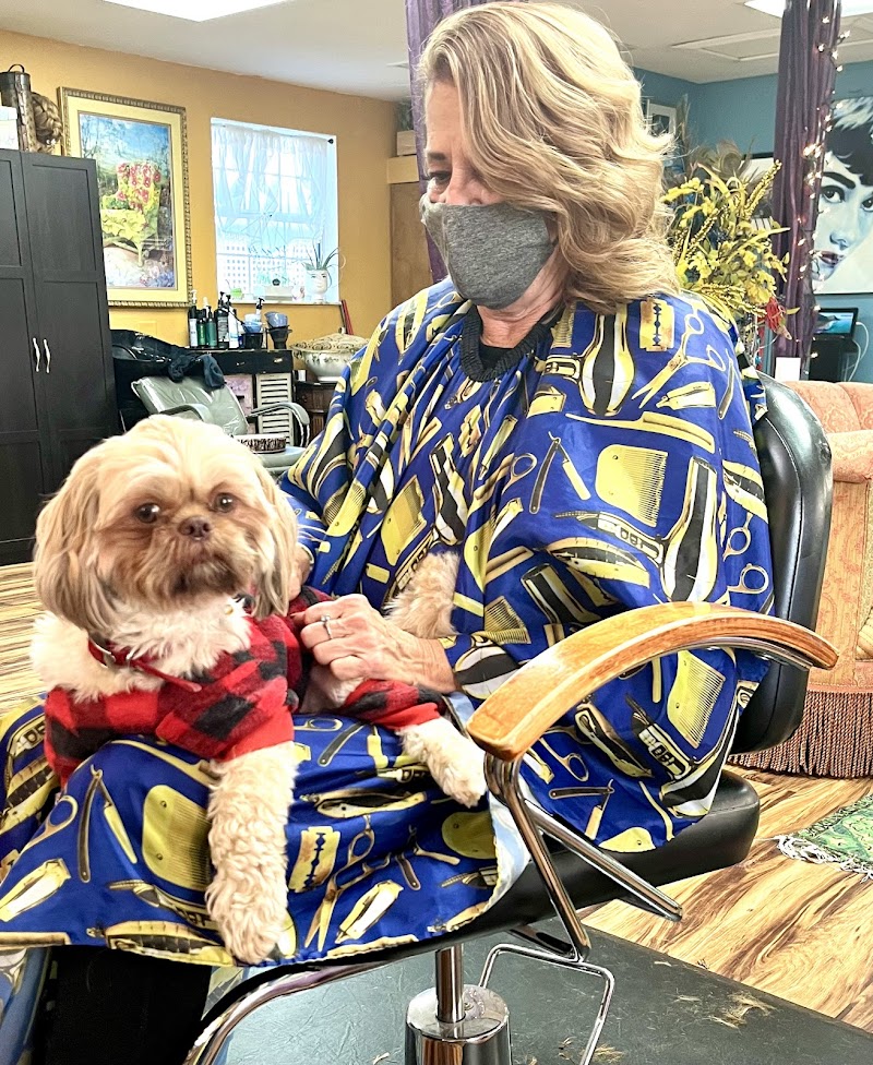 Curl Up & Dye Boutique and Hair Salon photo 4