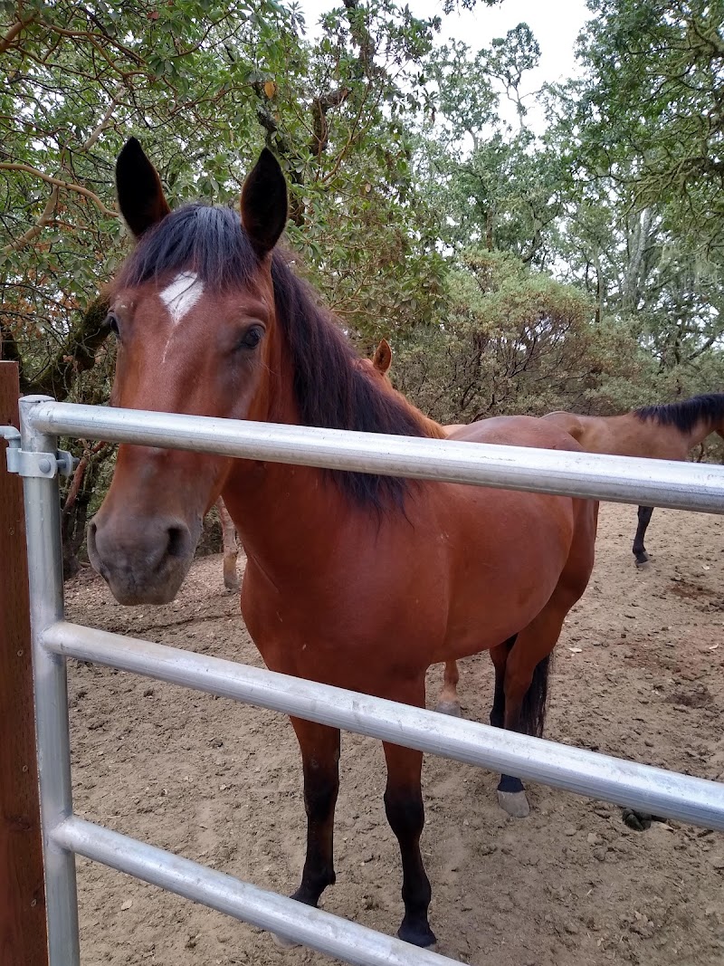 Sindisa Sanctuary photo 4