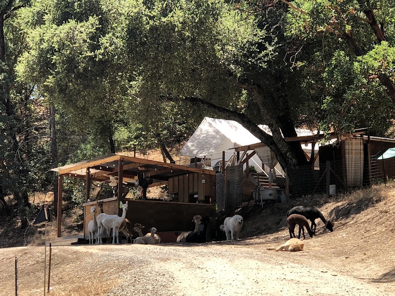 Sindisa Sanctuary photo 3
