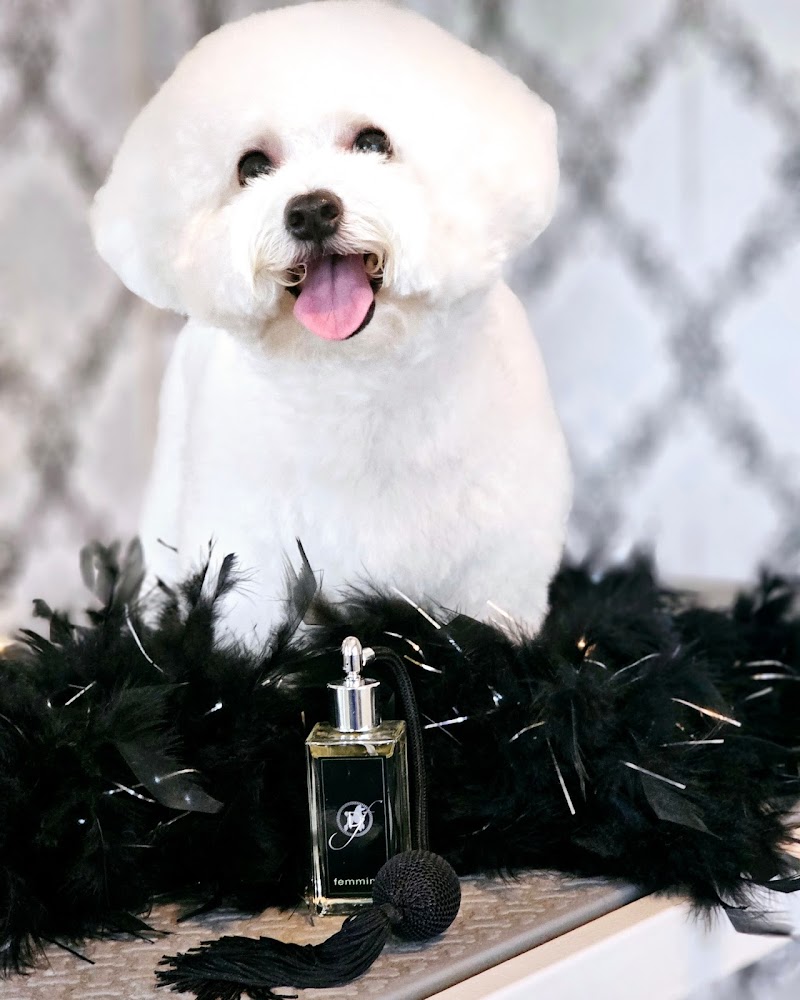 Tangled Tails Pet Spa photo 4