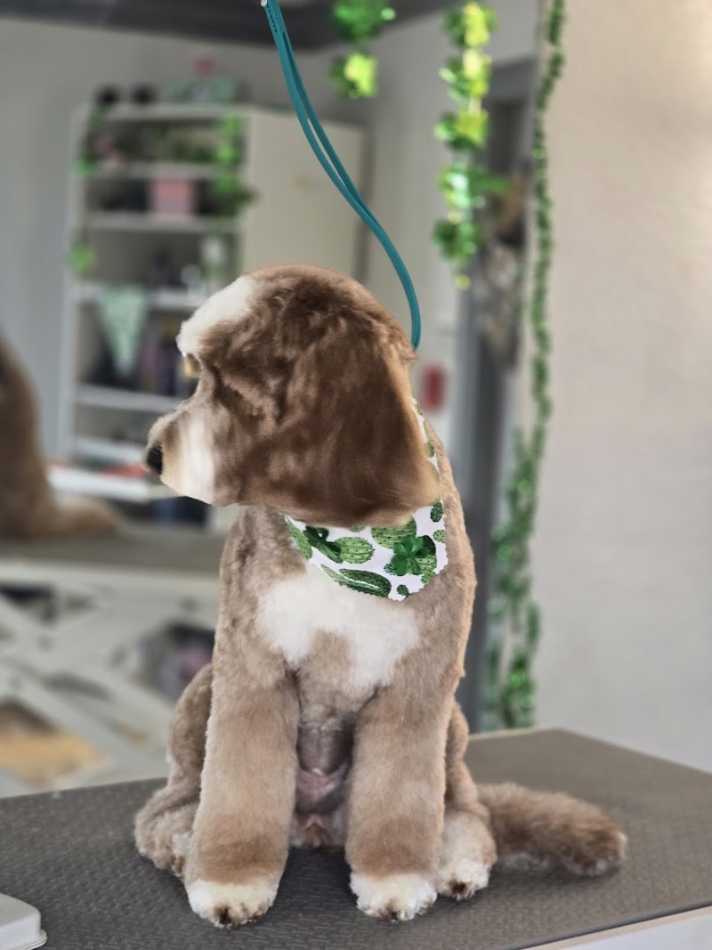 Tangled Tails Pet Spa photo 2