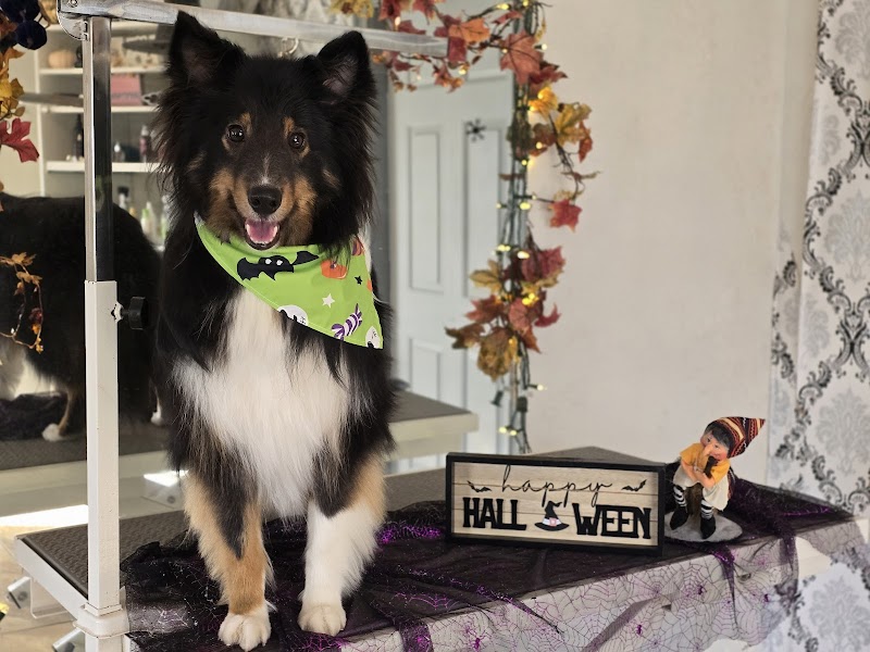 Tangled Tails Pet Spa photo 5