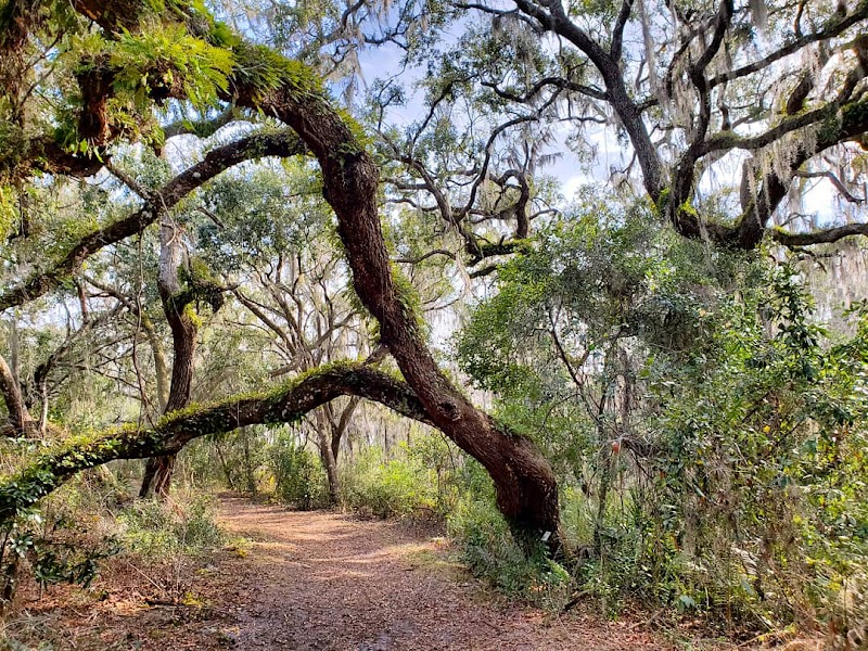 Crooked River Preserve photo 4