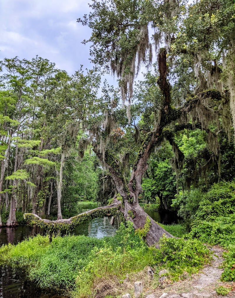 Crooked River Preserve photo 5