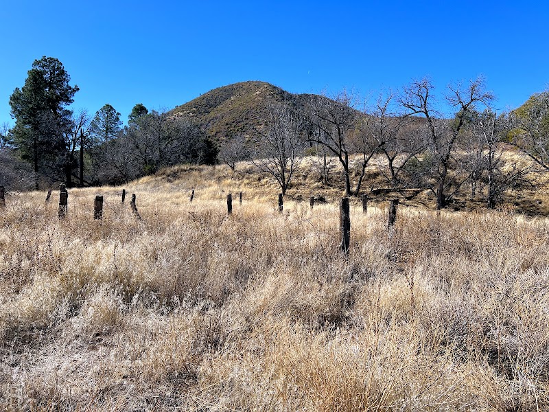 Reavis Ranch photo 2