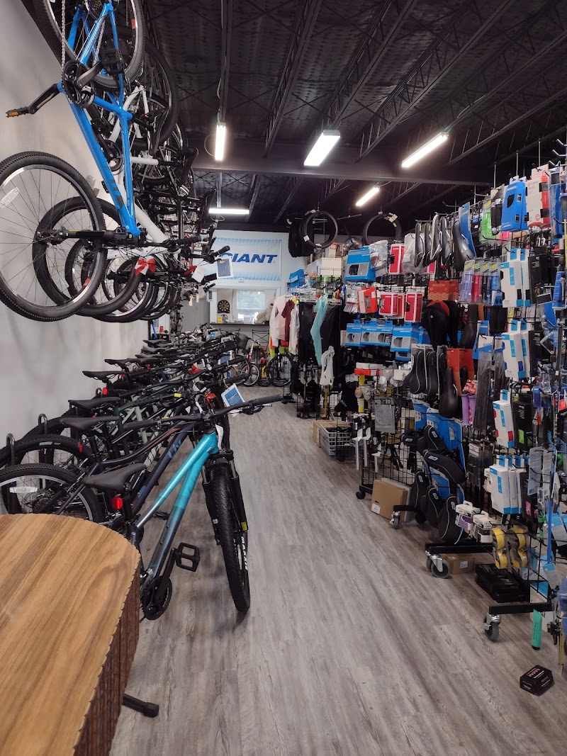 Fat Rick's Bicycle Emporium photo 2
