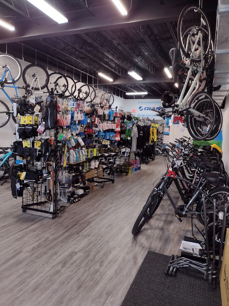 Fat Rick's Bicycle Emporium photo 4