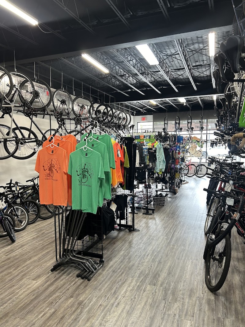 Fat Rick's Bicycle Emporium photo 3