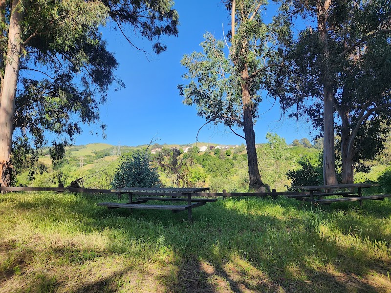 Don Castro Regional Recreation Area photo 4