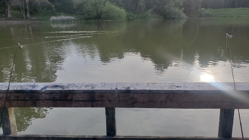 Don Castro Regional Recreation Area photo 5