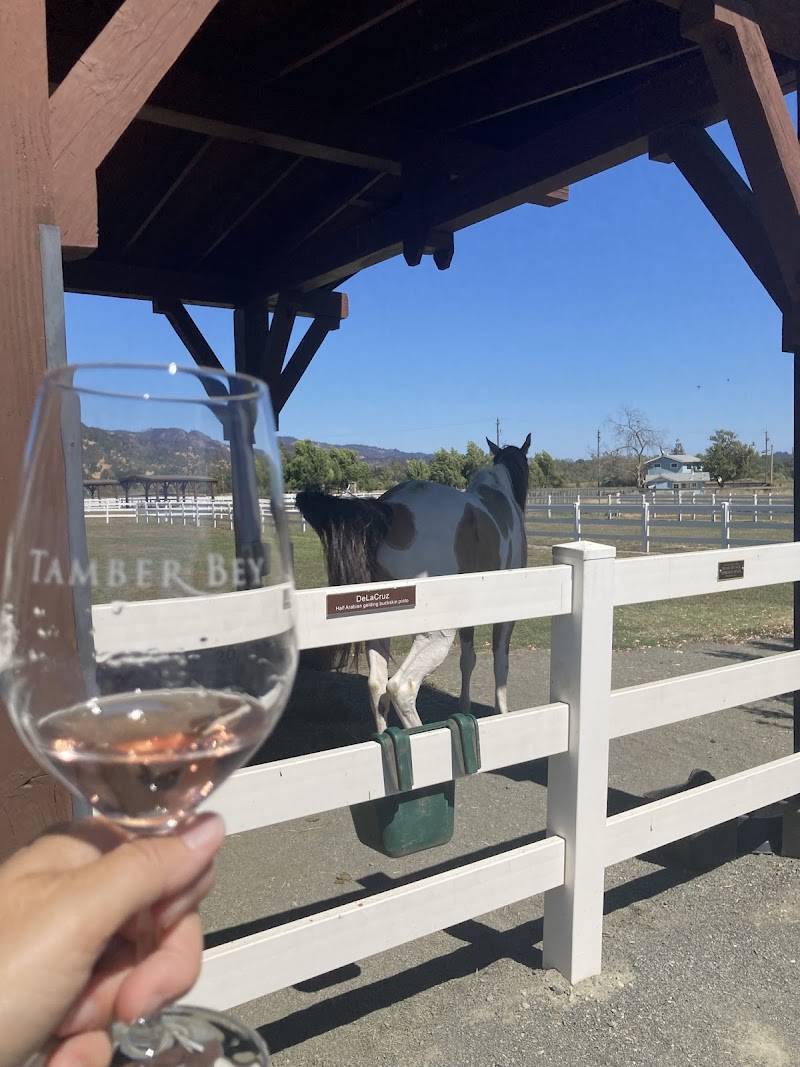 Tamber Bey Vineyards photo 4