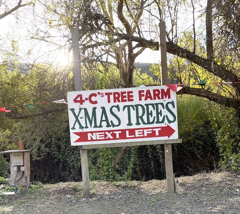 4C's Christmas Tree Farm photo 3
