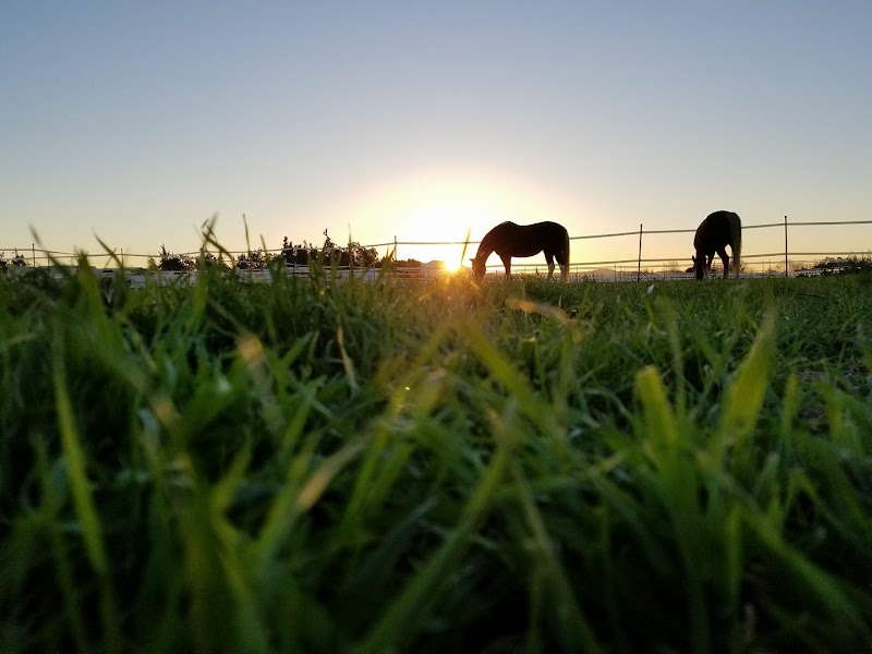 Photo of Center Line Equestrian Center, LLC