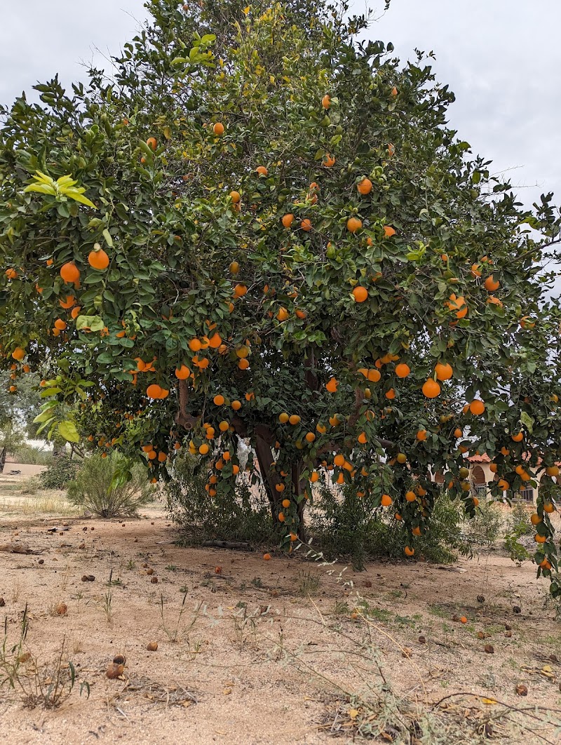 Milagro Farm Stand photo 2