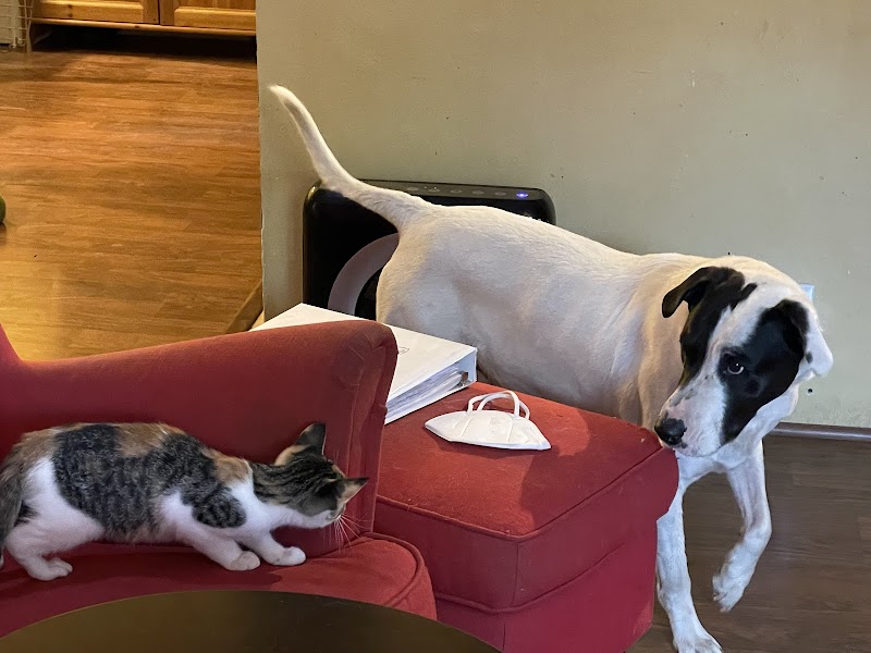 Photo of Friends of Bill Pet Sitting