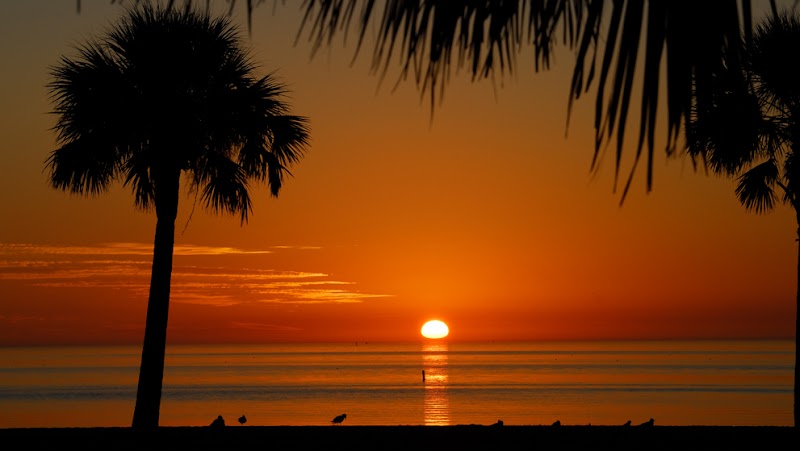 Photo of The Nicholas Group Clearwater, Inc.