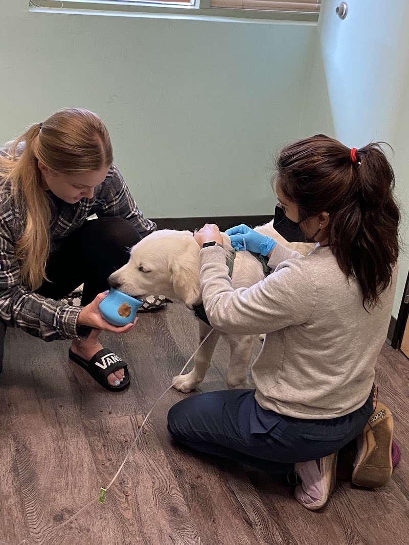 Indy’s Place Pet Hospital photo 5