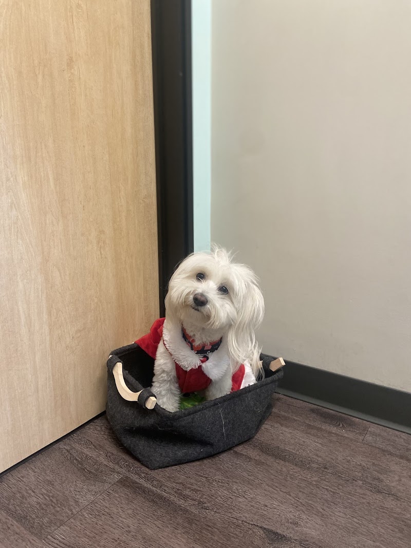 Indy’s Place Pet Hospital photo 2