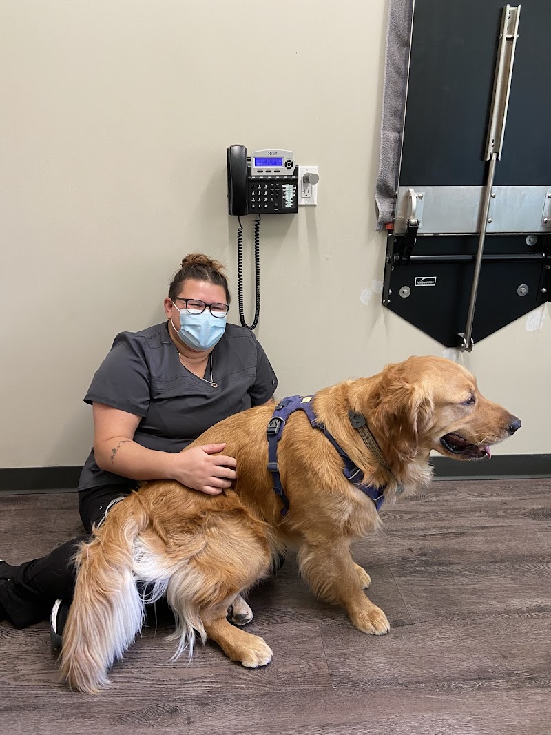 Indy’s Place Pet Hospital photo 3
