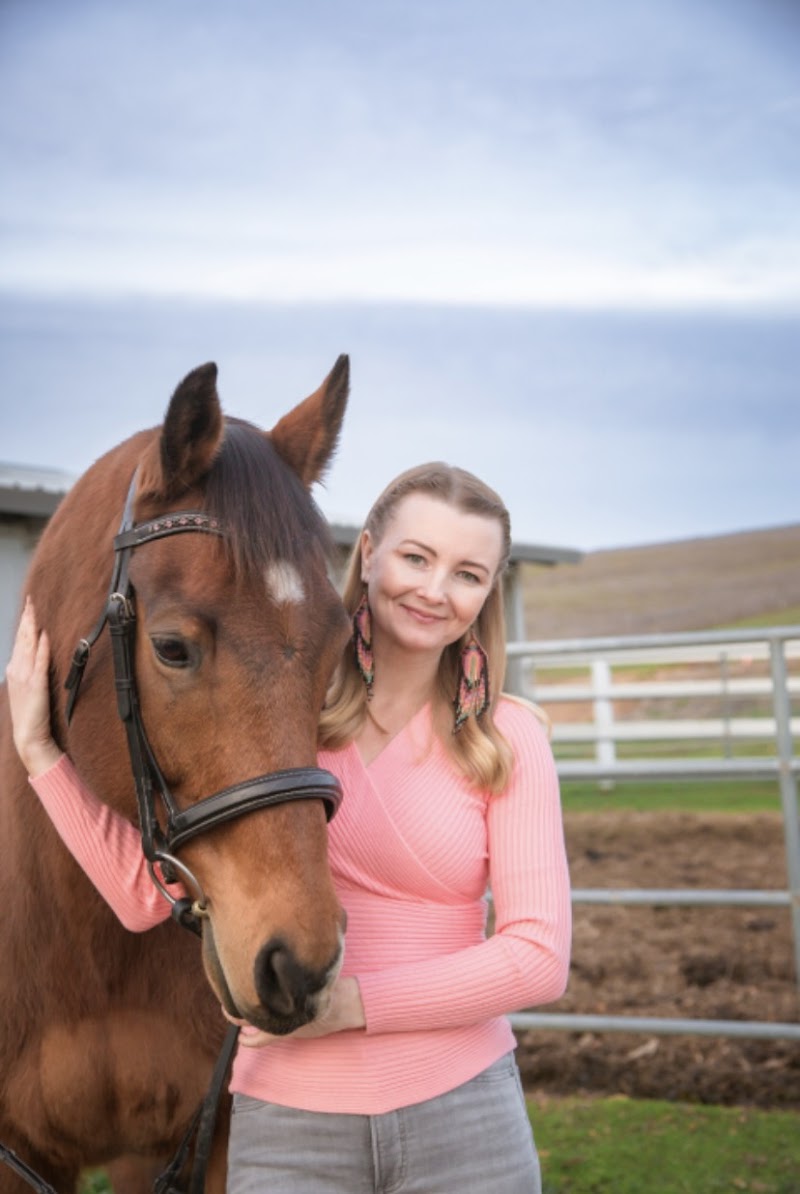 Photo of Amiable Sporthorse