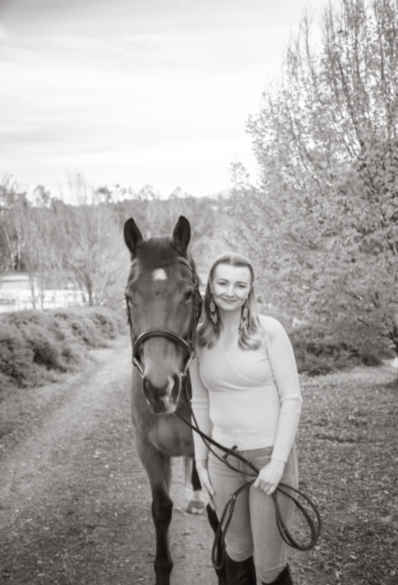 Amiable Sporthorse photo 4