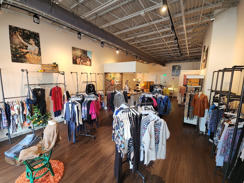 Citrus Styles photo 3