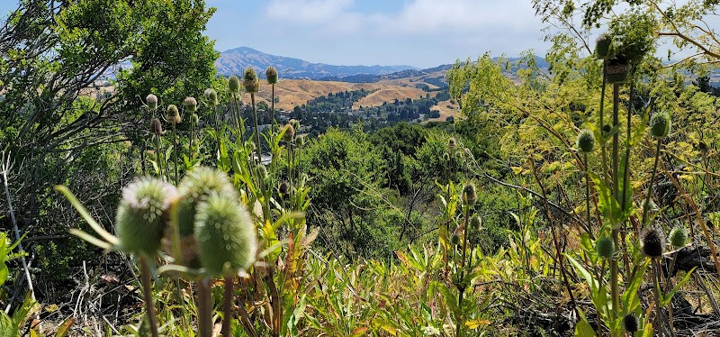 Moraga Parks & Recreation photo 5