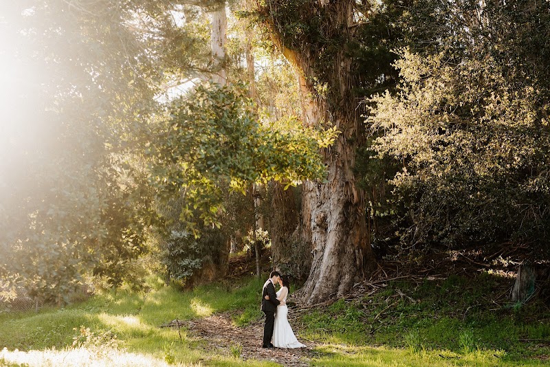 Hacienda de las Flores by Wedgewood Weddings photo 3