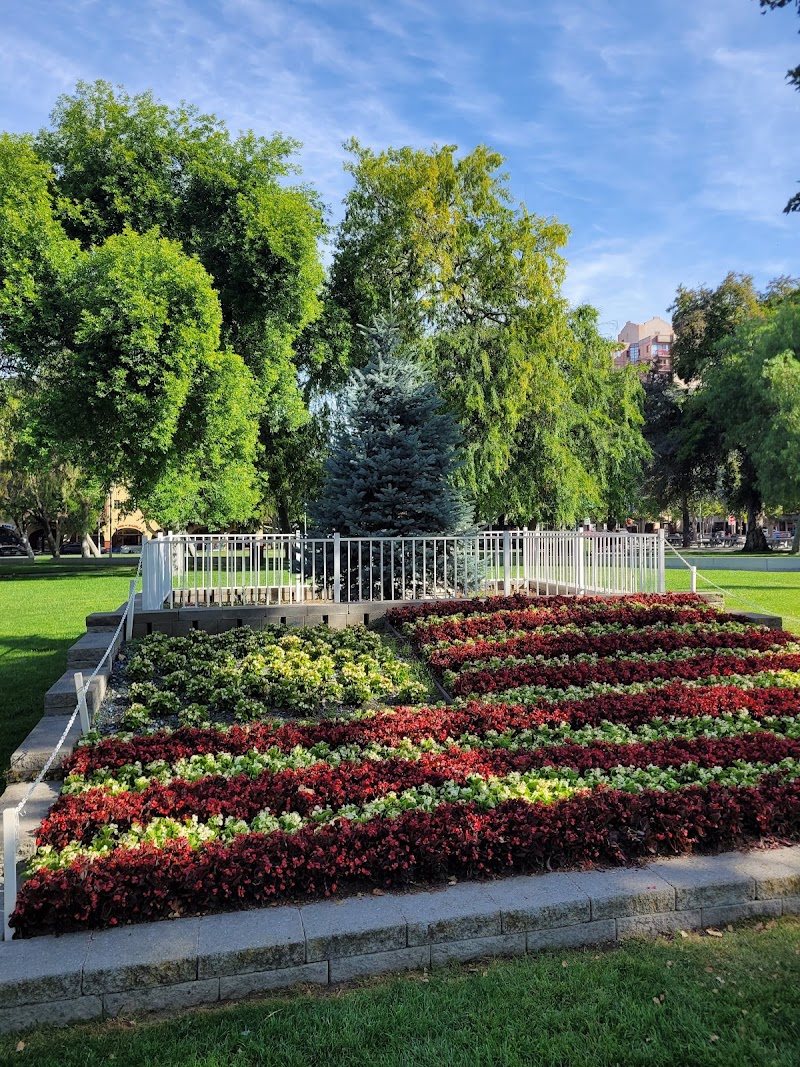 Todos Santos Plaza photo 5