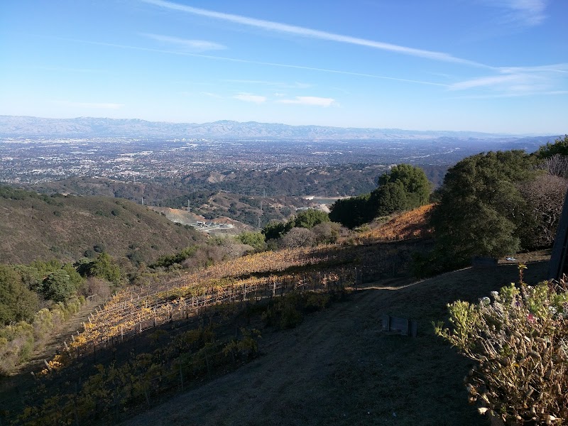 Photo of Naumann Vineyards