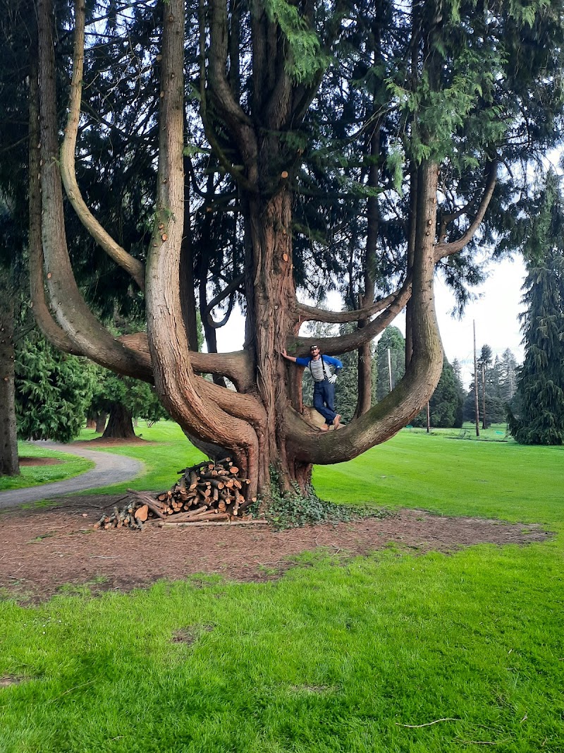 The Golf Club Of Oregon photo 2