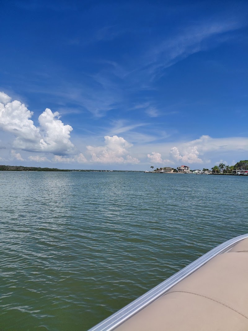 Need for Sea Boat Tours photo 2