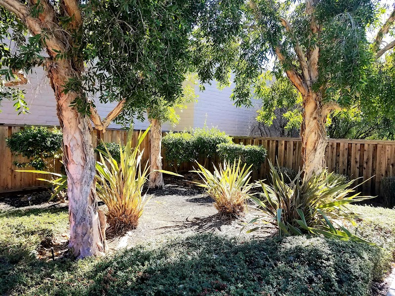 Los Gatos Winchester Center photo 3