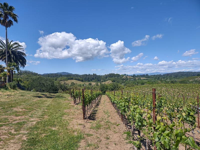 Iron Horse Vineyards photo 2