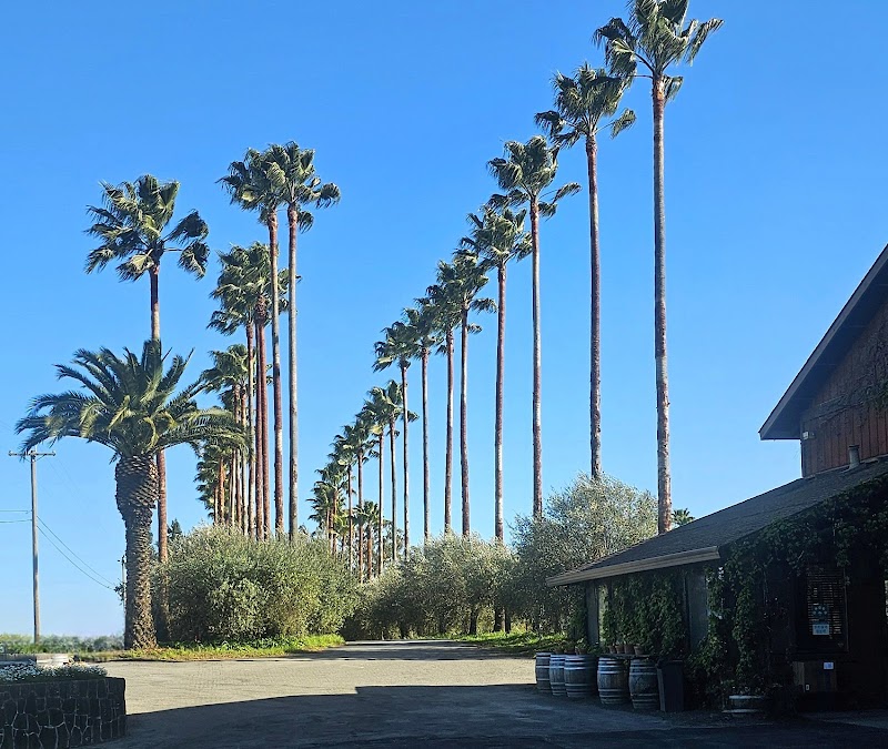 Iron Horse Vineyards photo 3