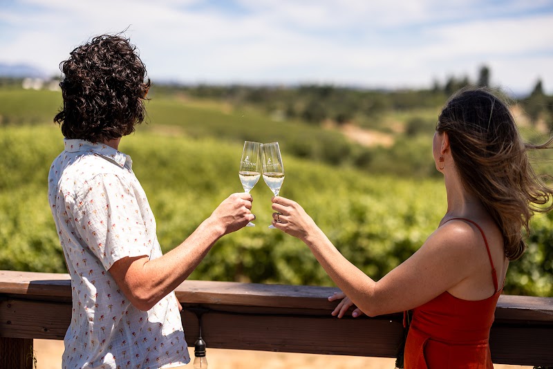 Iron Horse Vineyards photo 4