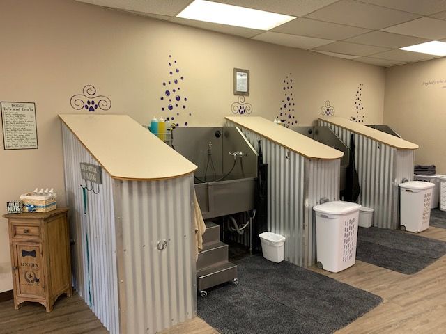 Photo of Paws Grooming Salon