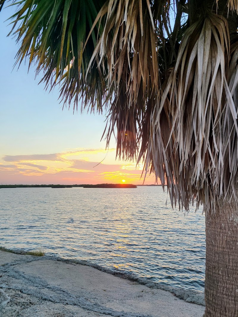 Ozello Causeway photo 4