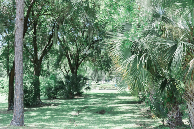 Centennial Park and Butterfly Garden photo 5