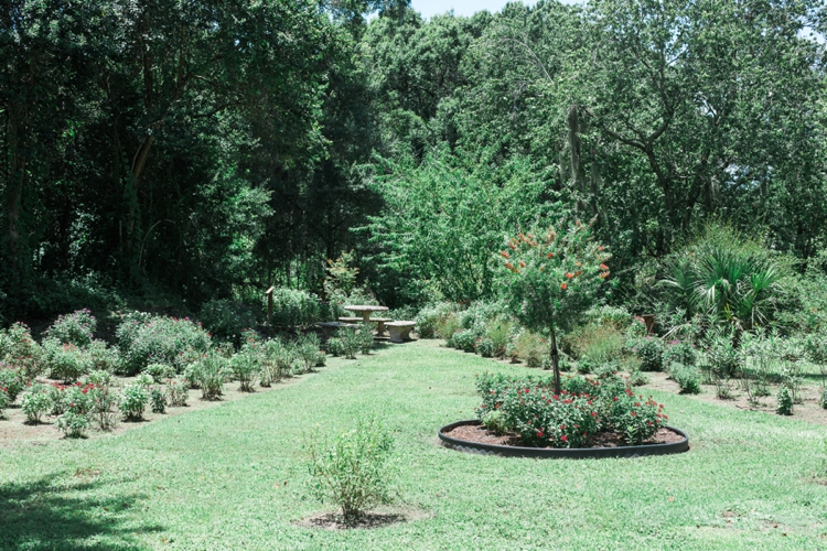 Centennial Park and Butterfly Garden photo 4