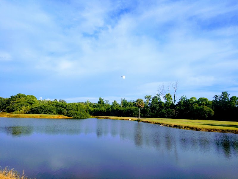 Innisbrook photo 4
