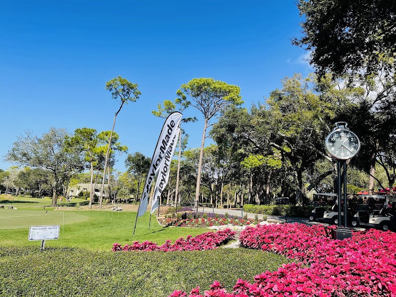 Innisbrook photo 5