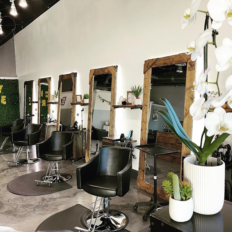 City Tribe Salon photo 3