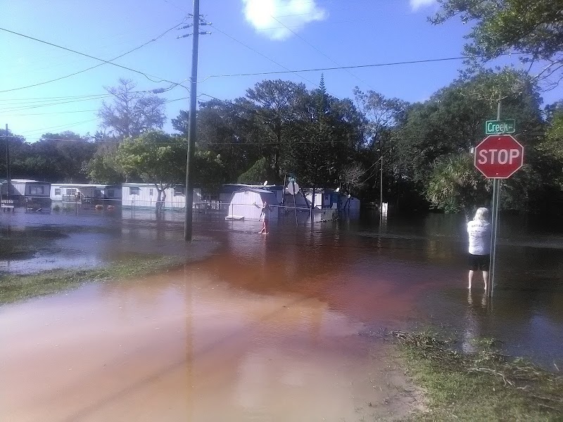 Celtic Dr. Bridge photo 5