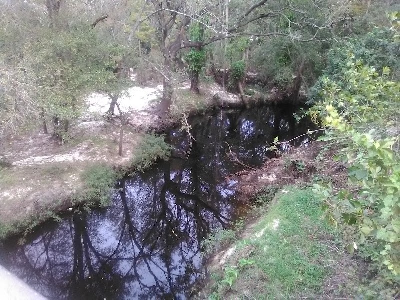 Photo of Celtic Dr. Bridge