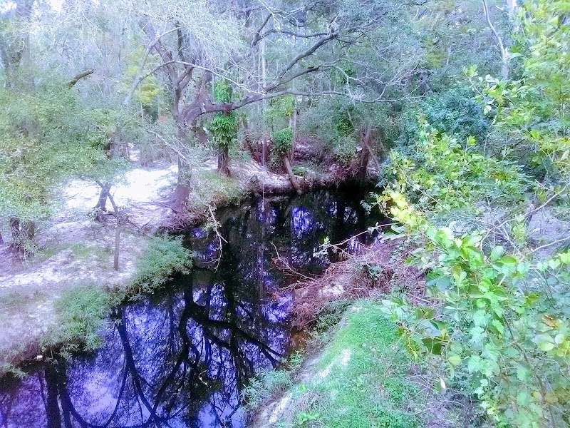 Celtic Dr. Bridge photo 4